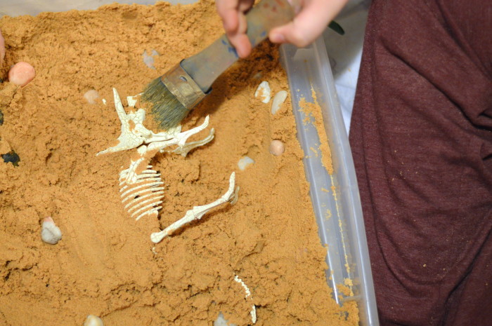 dinosaur bones for sandbox