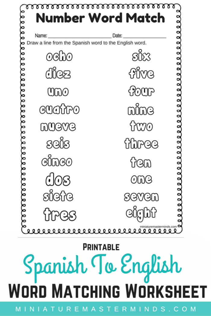 Spanish To English Word Number Matching Worksheet – Miniature Masterminds