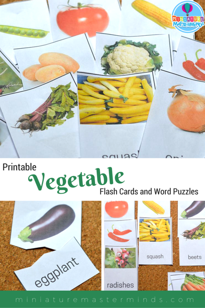 22-printable-vegetable-flash-cards-and-word-puzzles-miniature-masterminds