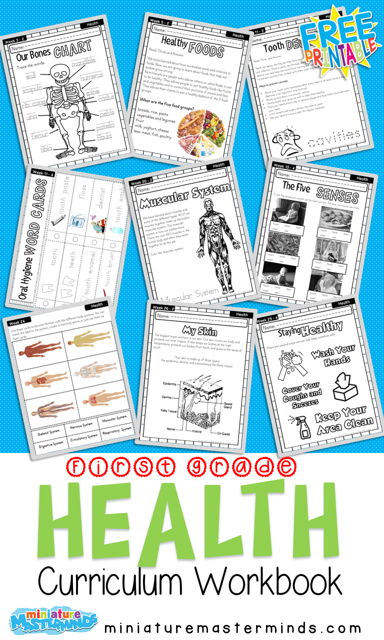 First Grade Curriculum Health Workbook Free Printable Miniature Masterminds