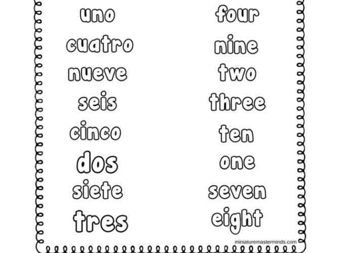 spanish to english word number matching worksheet