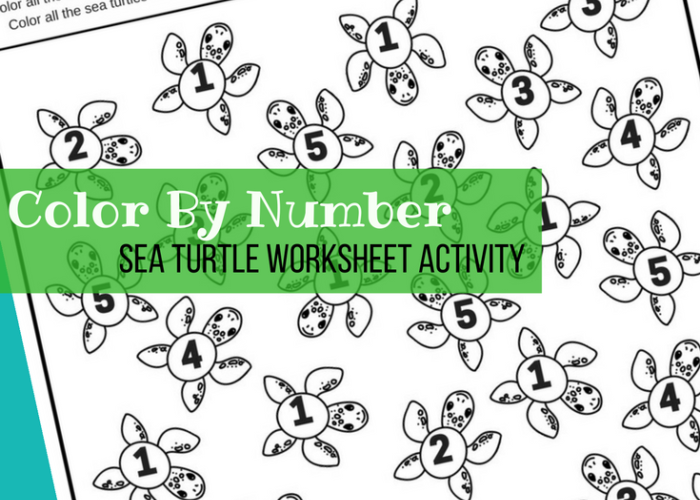 Color By Number Turtle Coloring Pages