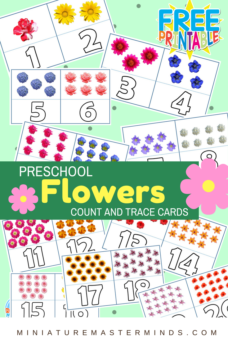 Preschool Flowers Count And Trace Flash Cards 120
